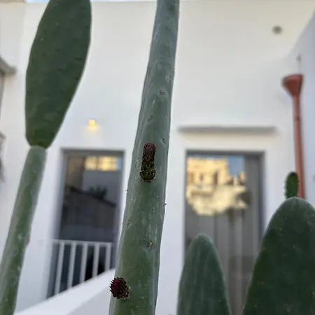 Regina Elena & Private Дом отдыха Санникола