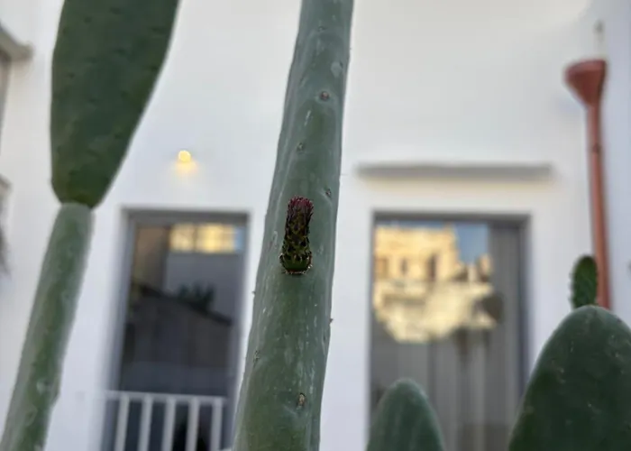 Regina Elena Suites&private Сasa de vacaciones Sannicola